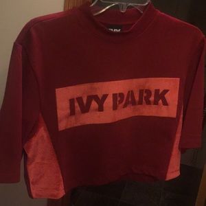 Ivy Park Velvet Logo Crop Sweatshirt